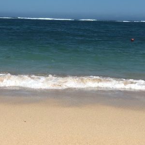 Meet your Posher, Sonny